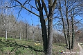 VBS_8846- Risvegli